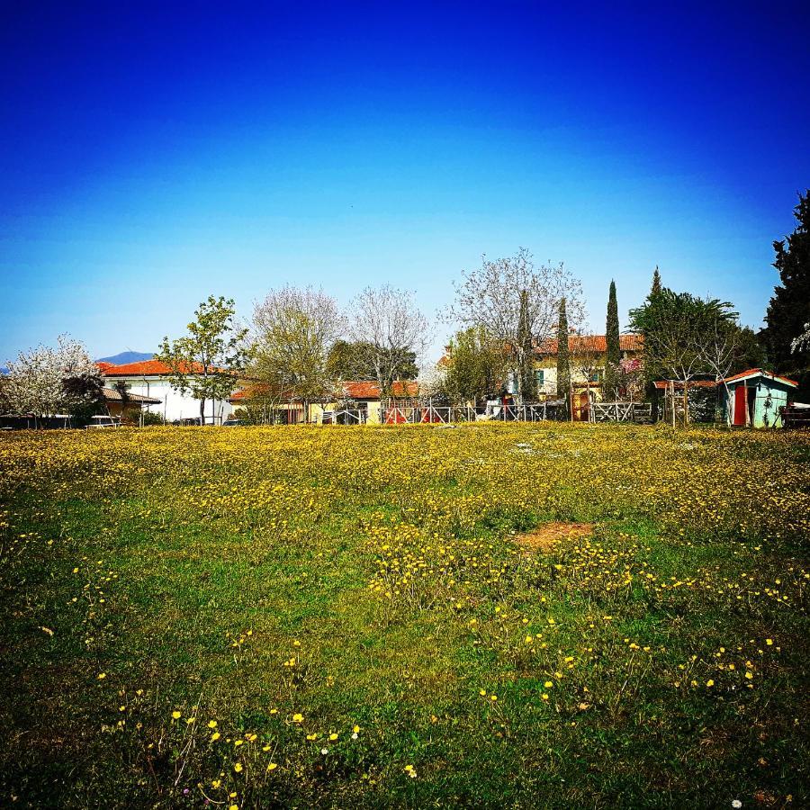 Cascina Corteprimavera, B&B Del Baliot Passirano Exterior foto